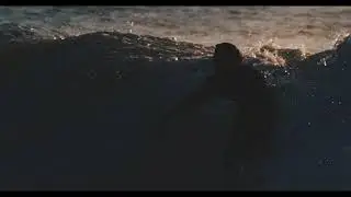 Waves (music by Don, Rauf, Thomas, video by  Zarazea )