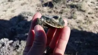 Wyoming prospecting with Lost Creek Mining near Jeffrey City WY.