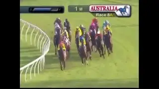 QUEEN OF THE TURF STAKES 2016 - Azkadellia