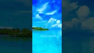 Unseen places in Maldives | #shorts #viral | The Fact Zone 96