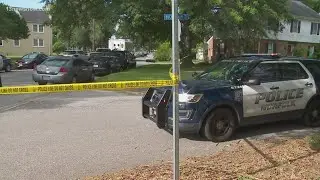NPD increasing presence across city, decreasing response to non-emergencies