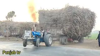 Stunt video good performance ford Tractor 4600 pulled sugarcane trailer