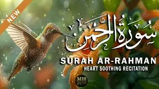 Surah Rahman | Beautiful Voice Qari Mishary Rashid Alafasy | Harf-e-Noor