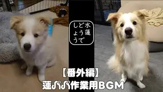【番外編】蓮パパ作業用BGM