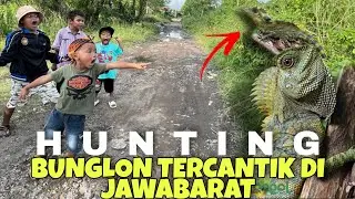 Memburu bunglon albino yang cantik menggemaskan..!!! HUNTING LONDOK DI SPOT PALING GACOR