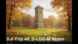 DJI Flip 4K Video D-LOG-M and Normal mode