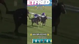 JAN BRUEGHEL&rsquo;s brilliant victory in G1 St Leger Stakes😎🏆👏