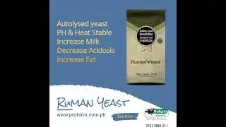 Rumen Yeast ICC Brazil || Nutrition Feeding || ProFarm Pakistan#Shorts