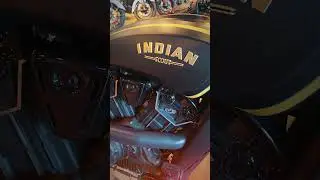 Jack Daniel's Indian Scout Bobber Limited Edition. How beautiful is this? #motorcycle #motovlog