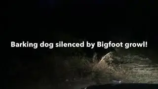 Barking dog suddenly silenced by a menacing bigfoot growl