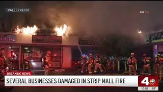 Several Valley Glen businesses damaged in strip mall fire