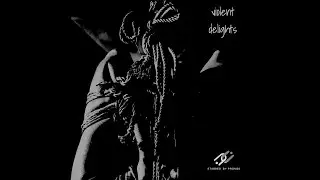 Violent Delights Lyric Video