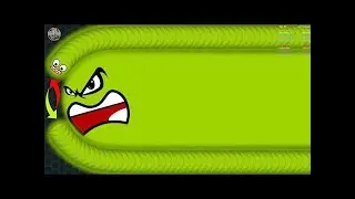 Warm Zone Snakes Live Stream #trending #viral #short