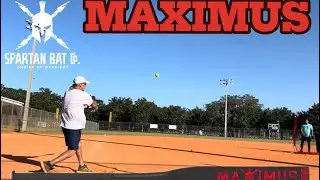 SPARTAN MAXIMUS WARRIOR LOAD SENIOR SOFTBALL BAT