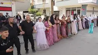 Hasan Babrak Düğünü Part 4