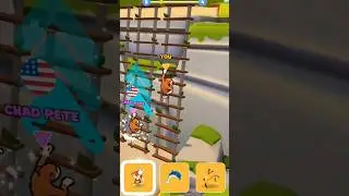 Animal Shifting All Level Gameplay Walkthrough Android, ios Max Level 3