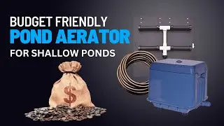 The Best Affordable Shallow Pond Aerator