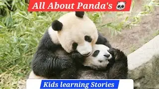 All About Panda's 🐼| learning Stories for kids | #kidsstories