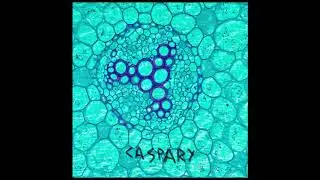 CASPARY - NO NAME