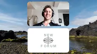 Navigating User Experience: Tally Ho Web3 Wallet