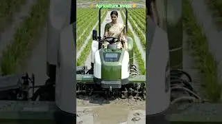 Rice 🌾🌾🌾🌾🌾🌾 plant Weeder High-tech machine for rice farming #precision #precisionfarming #rice