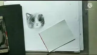 A cute cat timelapse sketch!! | for Vulgrant