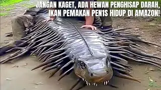 TAK MASUK AKAL, HIU BISA HIDUP DI SUNGAI AMAZON! Inilah 10 Hewan Mengerikan di Sungai Amazon