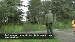 Bear Safety Tips While Hiking in Alaska 720p