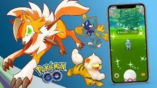 Lycanroc CRESP&Uacute;SCULO CHEGOU no Pok&eacute;mon GO! Rockruff SHINY AGORA! Sneasel de Hisui DE VOLTA!