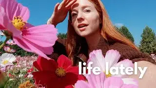seoul vlog 🌼 flower fields, rice cooker recipe, new cafe trend, rearranging apartment, life in korea