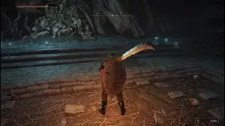 Cemetery Shade Boss Location 3 Caelid Catacombs + Kindred of Rot Ashes Location ELDEN RING