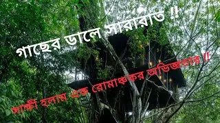 গাছের ডালে স্বপ্নের বাড়ি | Tree House Stay in Nature 🌳 | Wayanad , Kerala | Hidden House in Forest 