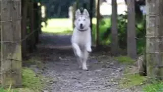 Trailer01