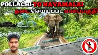 TNSTC BUS TRAVEL RESTRICTED AREA 🚫 கோவையில் வனவிலங்குகள் நிறைந்த தடை செய்யப்பட்ட வனப்பகுதி