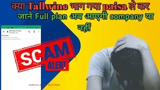 Tallwine  बंद हो गई  या भाग गई पैसा ले कर | कियो login नहीं हो रहा है | full plan | #Tallwine