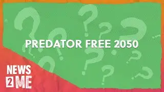 How can NZ go predator free by 2050? | News2Me