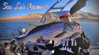 Double Digit Striped Bass San Luis Reservoir Jig Fishing