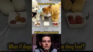 When Dogs Feel Unfairness&hellip; 💔 Sad Dog Stories #dog #sad #shorts