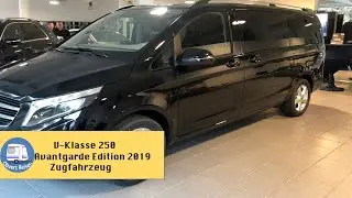Mercedes V Klasse 250 Avantgarde Edition 2019 neues Zugfahrzeug