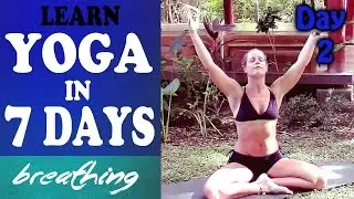 Day 2 Breathing - Yoga For Complete Beginners
