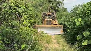 Reviving Old Plantation Road Infrastructure with a D6R XL Bulldozer