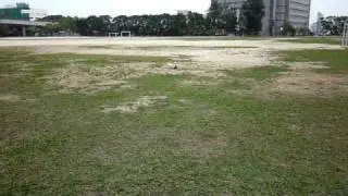 RC711.com: Walkera 4G6S Demo Fly Video