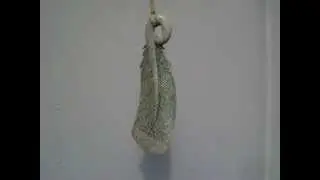 Whale bone Huia feather pendant blowing in the wind