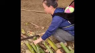 Single Mom Builds Bamboo House & Finds Abandoned Baby