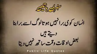 Best urdu quotes Urdu poetry WhatsApp video 