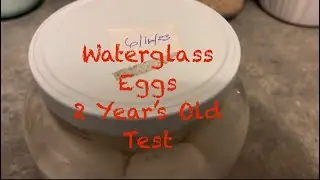 Waterglass Eggs Results Test
