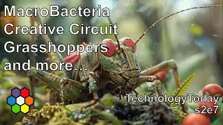 TechnologyToday (S2E7) for 2/16/2025  - MacroBacteria, Creative Circuit, Grasshoppers