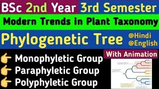 Monophyletic Paraphyletic polyphyletic/Phylogenetic Tree/Cladistics Tree/BSc 2nd Year 3rd Semester