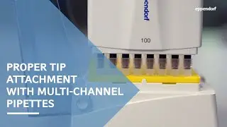 Правильное присоединение наконечника к многоканальным пипеткам Eppendorf с подпружиненными конусами наконечника