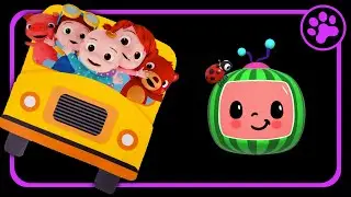 Wheels on the Bus (CoComelon) 🐾 BLACK SCREEN